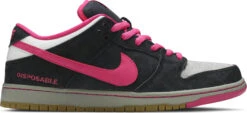 Nike Dunk Low Premium SB QS "DISPOSABLE"