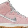 Nike Dunk High Pro Premium SB "CONCEPTS/WHEN PIGS FLY"